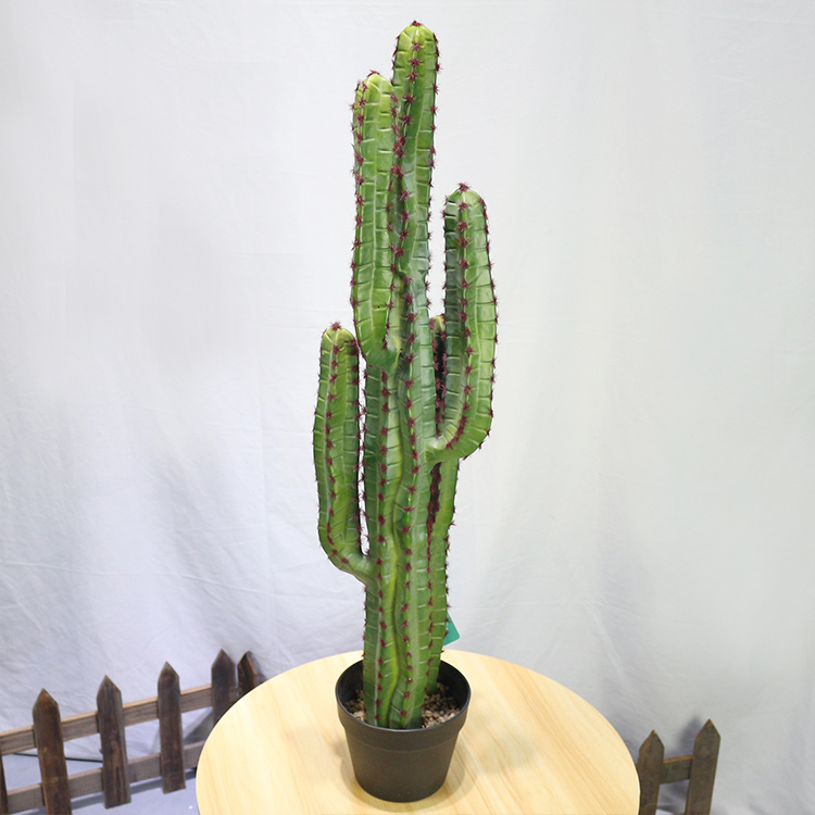 New-Style-Plastic-Saguaro-Cactus-Buy-Artificial-Cactus-Plant-at-Toronto-Cactus-and-Succulent-Club (1).jpg